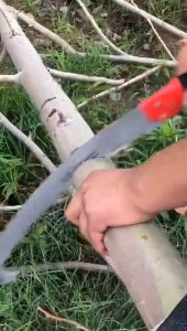 Take-home-shop® เลื่อยตัดกิ่งไม้ต่อด้ามได้แบบหัวงอ เลื่อยโค้งตัดกิ่งไม้ ทนทานต่อการใช้ง 16นิ้ว