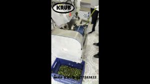 เครื่องหั่นผักตบ เครืองซอยผักตบ เครื่องสับผักตบ เครื่องหั่นผัก