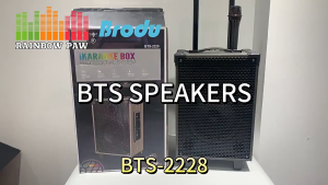 BTS-2228 Rechargeable Amplifier Speaker 8“40W InWood Trolley High-power outdoor Bluetooth speaker With Wireless Mic