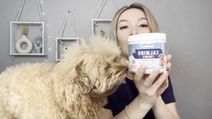 Naturale vitamins calming dog foodappetite booster for dogspubby adult pet snacks treats(300g):Composure & Relaxation