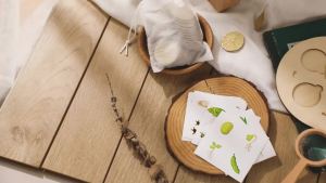 Wooden Life Cycle Puzzle Montessori Educational Toy Growth Circle Cognitive DIY Stickers Hands On Skill Thickened Board Toys
