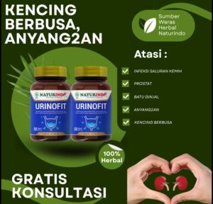 URINOFIT NATURINDO Obat Herbal Ginjal  ISK Kencing Batu Batu Empedu Batu Ginjal kencing Sakit Obat Penghancur Batu Ginjal  Ayang Ayangan Kencing Tidak Lancar 50 Kapsul
