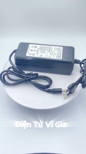 Sạc Pin 4S 4A 16.8V - 4A có quạt tản nhiệt dùng cho Pin Li-ion (Lithium-ion)   Có Đèn Báo Đầy Pin