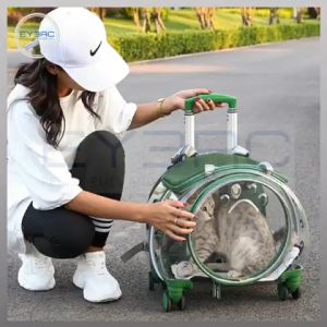 Transparent with Wheels Cat Backpack Carrier: A Comprehensive Guide