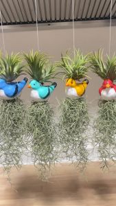 โมบายนกใส่เคราฤาษี ตุ็กตาเซรามิกรูปสัตว์คละสี สำหรับตกแต่งสวน มอสสเปน ไม้ฟอกอากาศกรองฝุ่น ม่านบังแดด Spanish Moss