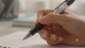 Pilot G2 Retractable Gel Pen [0.5mm / 0.7mm / 1.0mm] (Red / Blue / Black)