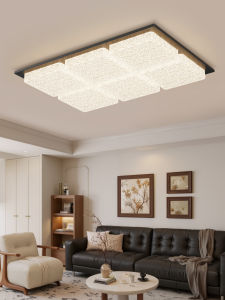 DGY | Minimalist Luxury Living Room Ceiling Light