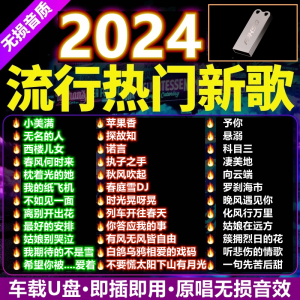 High Quality Lossless Music USB Drive Berlin Sound Car Audio Flash Drive Dream Back Middle Digital Tech Waterproof USB2.0