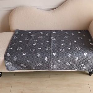 พร้อมส่ง แผ่นรองฉี่สัตว์เลี้ยง แผ่นรองฉี่แมว แผ่นรองฉี่สุนัข ซึมซับได้ดี มีกันลื่น ซักใช้ซ้ำได้