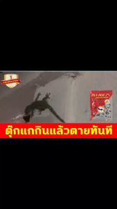 🦎ซื้อ 1 แถม 1🦎ยาไล่ตุ๊กแก ตุ๊กแกได้กลิ่นและวิ่งยาฆ่าตุ๊กแก ไล่จิ้งจก 100g/ถุง มีให้เลือกทั้งในร่มและกลางแจ้ง ไล่ตุ๊กแก