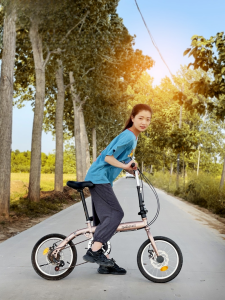 Foldable Lightweight Speed Change Double Disc Brakes Bike