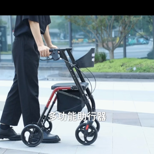 2 in 1 Height Adjustable Walker Foldable Lightweight Wheelchair for Walking Frame Rollator with 8 inch Rear Rubber Wheels Handles and Backrest for Seniors and Adult 四轮代步助行车购物车