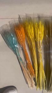 Bó bông lúa tài lộc trang trí nhà cửa 100 cây 100 cành bông lúa mạch khô giá trang trí nhà cửa Tết bông lúa mạch vàng BAO ĐẸP