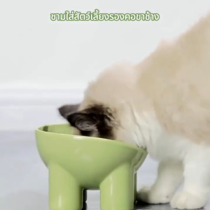 ชามกันมด แมว ชามอาหารแมว ชามอาหารสัตว์เลี้ยง ทรงเฉียง ชามอาหารสุนัข ที่วางอาหารสัตว์เลี้ยง เครื่องให้อาหารสัตว์เลี้ยง