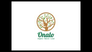 Bạch trà Shan Tuyết cổ thụ - Trà sạch 100% hữu cơ - Onalos White tea 100gr - Onalo