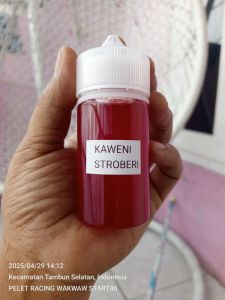 ESEN KAWENI STROWBERI 60ml UNTUK UMPAN MEMANCING IKAN MAS GALATAMA GALAPUNG
