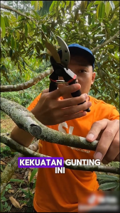 Gunting Dahan SK5 35MM / Gunting Tanaman / gunting Cabang / PVC - Gunting Kebun & Taman