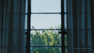 HUAWEI WATCH D2 | Smartwatch | Ambulatory Blood Pressure Monitoring | Light and Slim Design