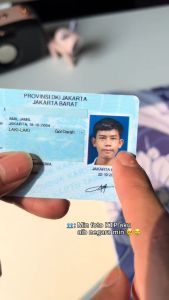 Cover Pelindung Kartu Identitas KTP SIM Kartun Daisy Mini Micky Daisy Donald