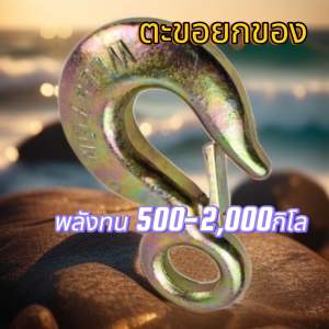 Grab Hook Highly Polished ตะขอเซพตี้มีที่ล็อคอัตโนมัติมีตั้งแต่0.5-5ตัน