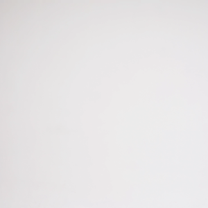 House of Smith Kaos Pria Lengan Pendek - Keep Going White Tshirt - T Shirt