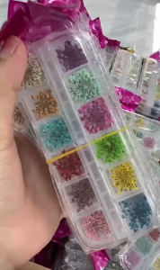 Set hoa khô nhí hoa khô chùm ẩn móng nail 12 màu ép khô trang trí móng