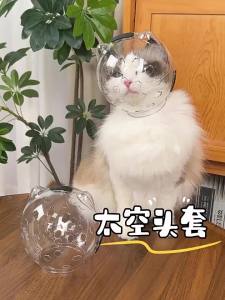 7o | Pet Protection Elizabethan Collar Anti-Bite Bathing Nail Trimming Anti-Scratch Anti-Licking