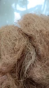 Coco fiber sabut kelapa media tanam - serabut kelapa untuk sarang burung