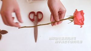 500Gr Silica Gel Powder | Pengawet Bunga Segar | Kemasan Toples