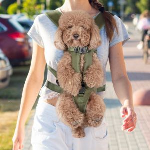Durable Pet Dog Bag Comfortable Breathable Waterproof Carrying for Cats Dogs Backpack Travel Outgoing Small Pets Puppy Bags Supplies