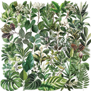 50PCS ใบพืชสีเขียวสติกเกอร์ DIY กระเป๋าเดินทางโน้ตบุ๊คจักรยานขวดน้ําโทรศัพท์มือถือโปร่งใส Graffiti ใบ Decals