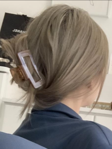 Matte Grey Blue Cream White Transparent Brown Hair Clips Hair Accessories Bun Maker Organic Glass Hair Grips for Women