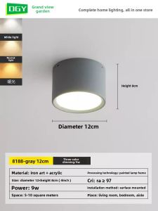 DGY | Modern Simple LED Light for Corridor Entryway Balcony Living Room Bedroom