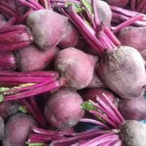 BUAH BIT SEGAR BERAT 1KG  MENCEGAH ANEMIA PENGIRIMAN DARI MEDAN.
