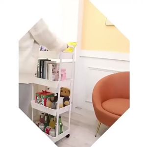 Moveable Multi-level Book Storage Shelf