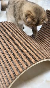 Bàn Cào Móng Cho Mèo HeLiPet Cao Cấp Hình Dạng Chữ S