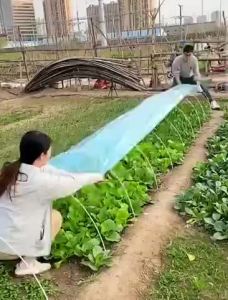 GLASS FIBER TUBE (แท่งกลมตัน) 10แท่ง ความยาว120cm/150cm*180cm ไม้ค้ำต้นไม้ หลักไม้เลื้อย เสาต้นไม้ ไม้ค้ำยันต้นไม้ ค้างต้นไม้ ซุ้มต้นไม้ ค้างผัก