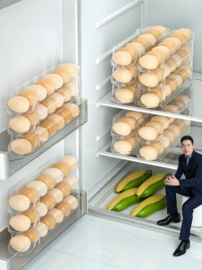 HANSHILIUJIA | Automatic Rolling Egg Storage Organizer
