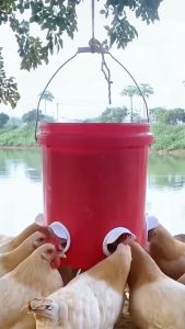 1 Thùng Sơn Khoan Sẵn + 7-> 12 Máng Nước Cho Gia Cầm Tự Động Chảy Cho Gà Vịt Ngan Gia Cầm Uống Nước Tiết Kịêm Chi Phí