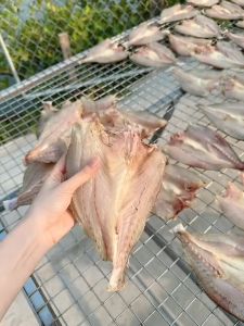 500gr Khô Cá Đù Chàm Xẻ Bỏ Đầu Tẩm Vị Ngon Thơm Chiên Giòn Ăn Cơm Nóng Tuyệt Vời- VỰA KHÔ NÀNG TIÊN