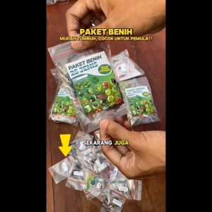 Paket Bibit Benih 25 Jenis Sayur dan Sayuran Buah Lengkap Bonus Plus PG BGR