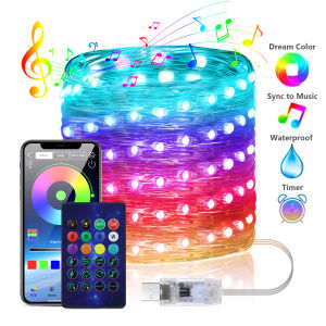 WS2812B RGBIC LED String 20m 10m 5m USB Fairy Lights Dreamcolor DIY Smart IC APP Bluetooth Remote Festival Christmas Tree Lights