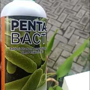 Bakteri Pengurai Limbah Penta bact / Bakteri Starter IPAL 1Liter