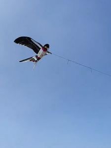 เส้นการ์ตูน BHQ TOYS แถมเชือกฟรี ว่าวนกอินทรีย์ ว่าวลายการ์ตูน เสาการ์ตูน 30m หลากสไตล์ให้เลือก กีฬากลางแจ้งสำหรับเด็ก