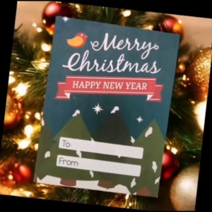 Christmas Money Envelope / Angpao (10 pcs per order)