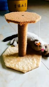 ROYAL PET PARADISE 2 in 1 Cakaran Kucing Cat Scratcher Mainan Garukan Kucing / Cat Tree / Cat Condo