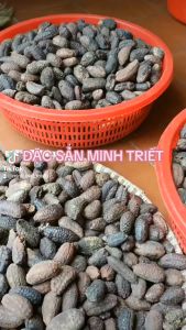 CHUỐI HỘT RỪNG NGUYÊN CHẤT NGUYÊN TRÁI- ĐẶC SẢN MINH TRIẾT