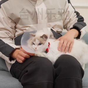 PE-1121 ปลอกคอกันเลียสัตว์เลี้ยง ลำโพงสัตว์เลี้ยง สุนัข แมว ครบทุกขนาด พร้อมส่ง