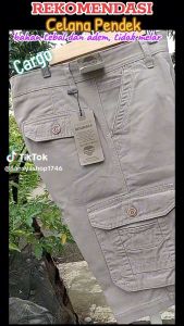 Celana Cargo Pendek Rip