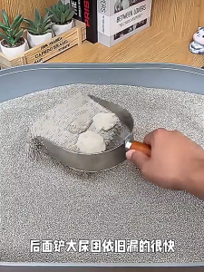 Stainless Steel Large Cat Litter Scoop Cats Poop Spoon Scooper Shovel Penceduk Najis Kucing Penapis Pasir